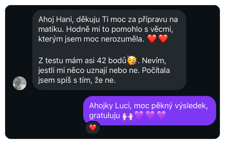 Recenze – student zvládl maturitu z matematiky díky přípravě s Hankou