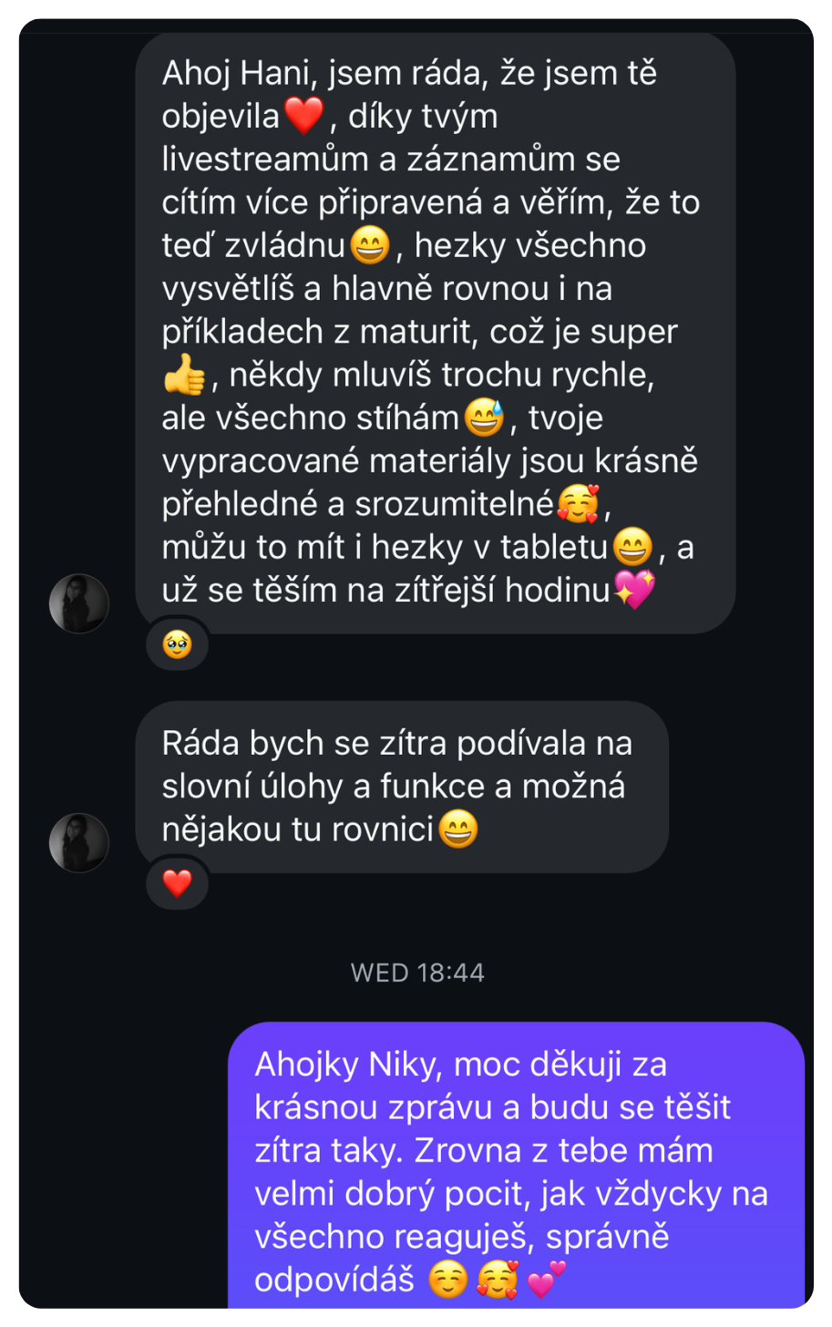 Zpráva od studenta po maturitě – příprava s Hankou