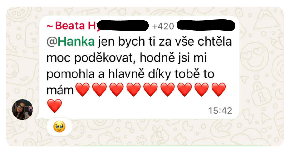 Hodnocení přípravy na didaktický test z matematiky s Hankou