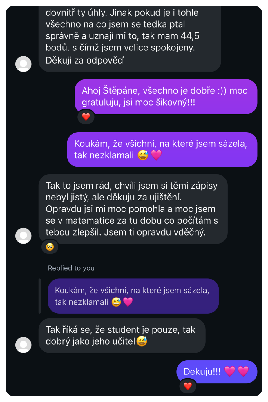 Zpráva od maturantky – recenze kurzu Matika s Hankou